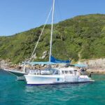 Nelson Bay: Marine Discovery Cruise with Snorkeling - Snorkeling: Underwater Exploration