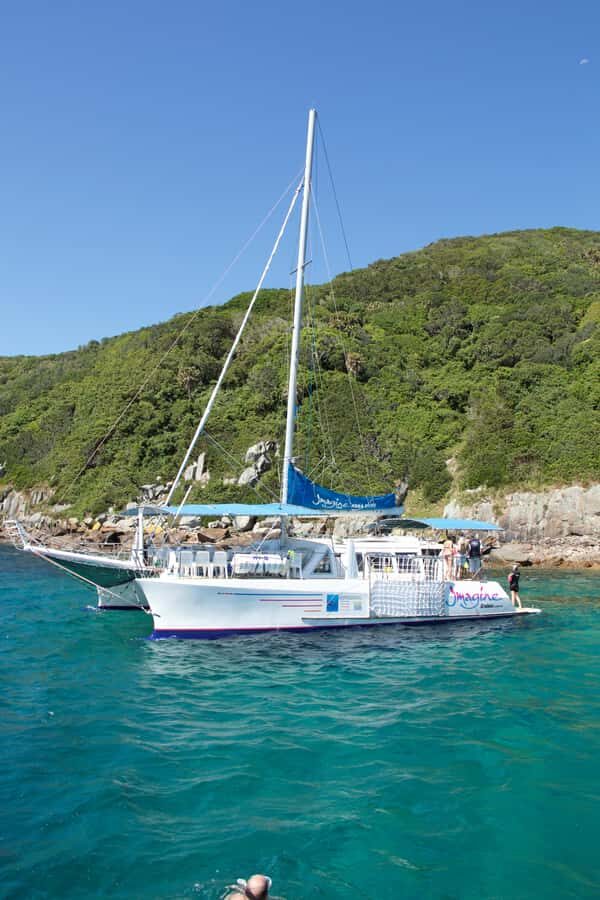 Nelson Bay: Marine Discovery Cruise with Snorkeling - Snorkeling: Underwater Exploration