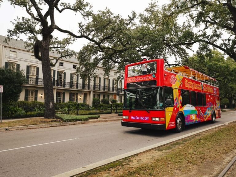 New Orleans: 2 or 3 Day Hop-On Hop-Off Bus with Walking Tour - The Route and Stops: What Can You Expect?