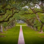 New Orleans: Bayou Swamp Tour and Oak Alley Plantation Tour - What We Appreciate and What to Consider