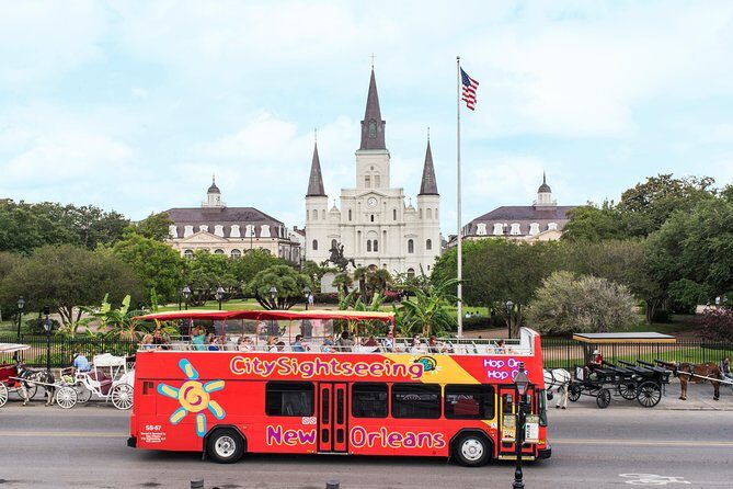 New Orleans City Sightseeing Hop-On Hop-Off Bus Tour - What the Reviews Say
