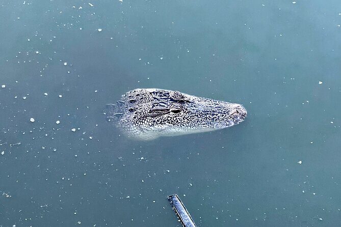 New Orleans Driving Tour of Bayou St. John, City Park, Treme etc - Making Sense of the Cost