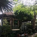 New Orleans Esplanade Ridge: A Self-Guided Audio Tour - What to Expect from the Experience