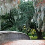New Orleans Favorites and Creole Culture VIP Tour - Natural Beauty at Audubon Park and Tulane University