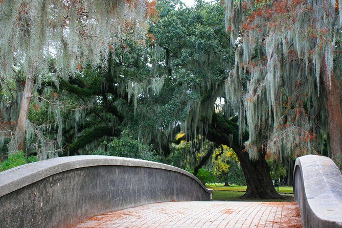 New Orleans Favorites and Creole Culture VIP Tour - Natural Beauty at Audubon Park and Tulane University