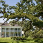 New Orleans: Felicity Plantation Guided Tour - What to Expect from the Felicity Plantation Tour