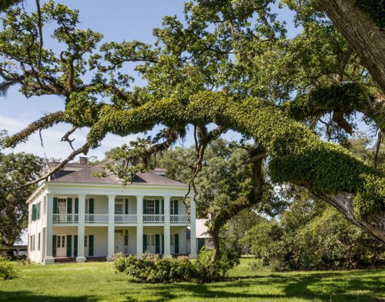New Orleans: Felicity Plantation Guided Tour - What to Expect from the Felicity Plantation Tour