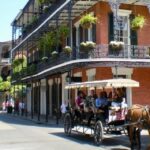 New Orleans: Food Walking Tour & Cooking Class Experience - What You Can Expect from the Tour
