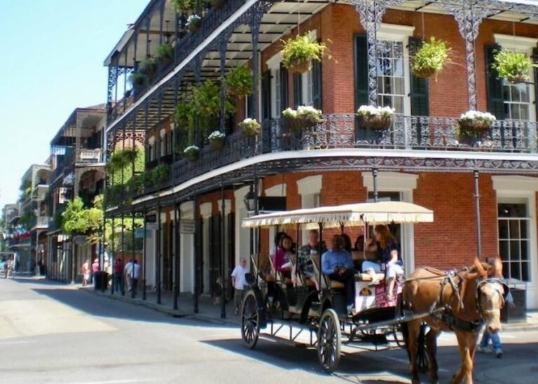 New Orleans: Food Walking Tour & Cooking Class Experience - What You Can Expect from the Tour