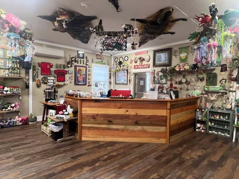 New Orleans Manchac Bayou Swamp Cruise W/ Optional Pick-Up - Final Thoughts