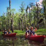 New Orleans: Manchac Swamp Wildlife Kayaking Tour - Wildlife and Nature Highlights