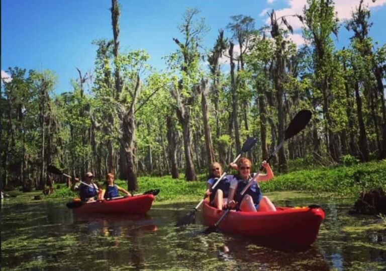New Orleans: Manchac Swamp Wildlife Kayaking Tour - Wildlife and Nature Highlights
