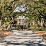New Orleans: Oak Alley Plantation & Airboat Swamp Combo Tour - Key Points