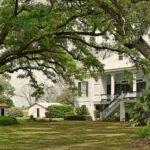 New Orleans: St. Joseph and Felicity Plantation Guided Tour - The Details that Matter