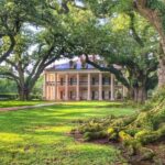 New Orleans: Swamp Boat Ride & Oak Alley Plantation Tour - What Travelers Say