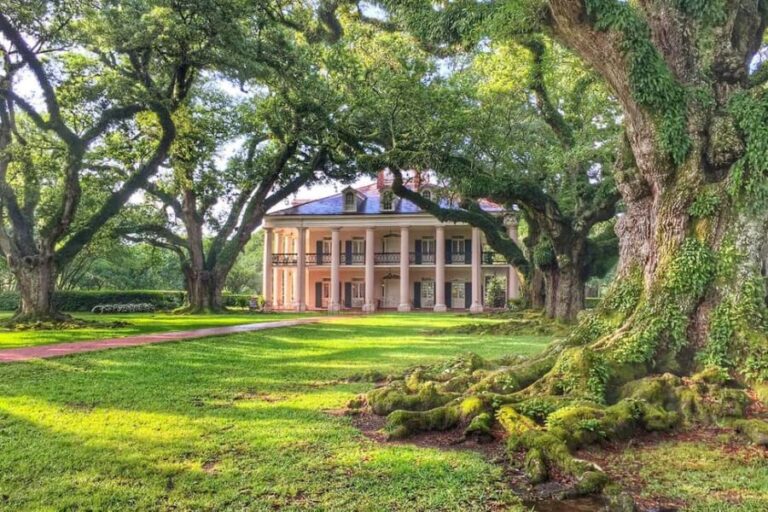 New Orleans: Swamp Boat Ride & Oak Alley Plantation Tour - What Travelers Say