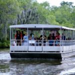 New Orleans: Swamp Tour on Covered Pontoon Boat - The Experience On the Water