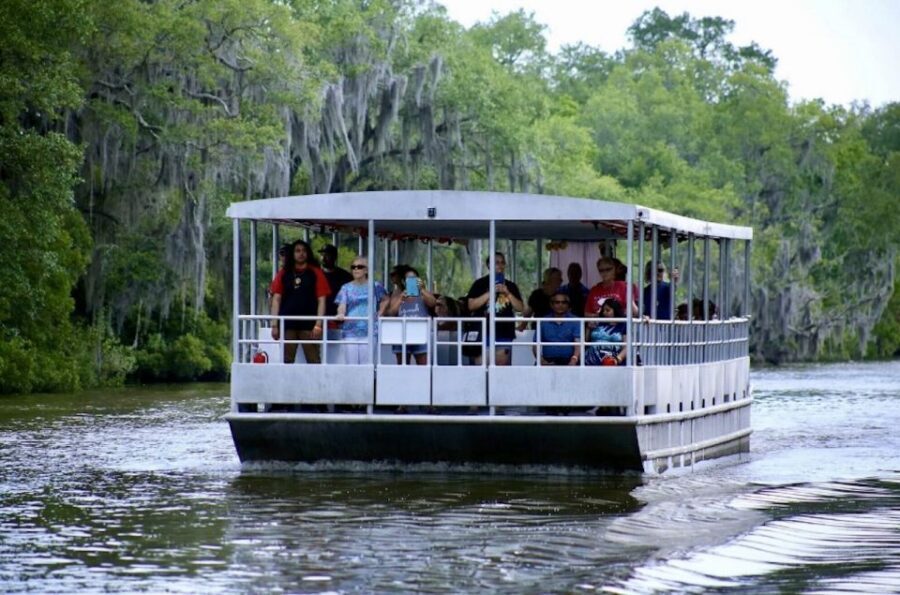 New Orleans: Swamp Tour on Covered Pontoon Boat - The Experience On the Water