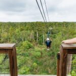 New Orleans: Swamp Zipline Tour - What to Expect on the Swamp Zipline Tour