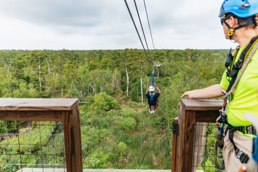 New Orleans: Swamp Zipline Tour - What to Expect on the Swamp Zipline Tour