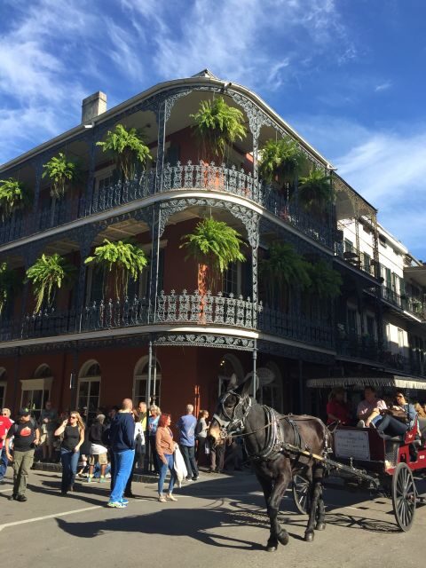 New Orleans: Traditional City and Estate Tour - Who Will Enjoy This Tour?