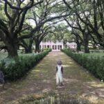 New Orleans: Whitney Plantation Audio Tour with Transfers - Final Thoughts