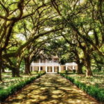New Orleans: Whitney Plantation Tour with Transportation - Final Thoughts