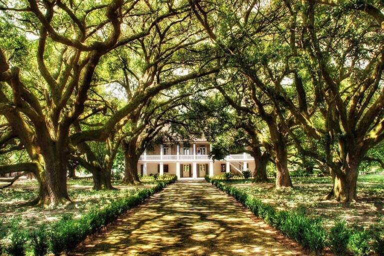 New Orleans: Whitney Plantation Tour with Transportation - Final Thoughts