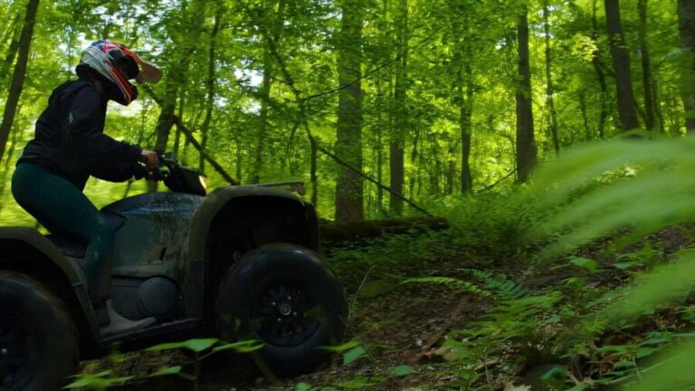 New River Gorge ATV Adventure Tour - The Trail Experience: What You’ll Cover