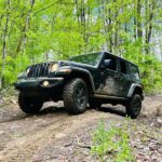 New River Gorge Jeep Tour (Half Day) - Who Would Love This?