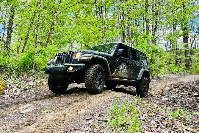 New River Gorge Jeep Tour (Half Day) - Who Would Love This?