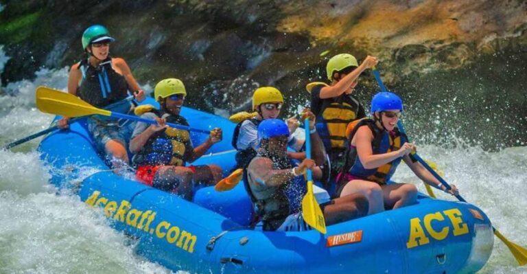New River Gorge Whitewater Rafting - Lower New Half Day - Logistics and Practical Details