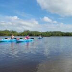 New Smyrna Dolphin and Manatee Kayak and SUP Adventure Tour - Is It Worth the Price?