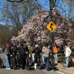 New York: Central Park Premium Bike Rental - What to Expect During Your Ride