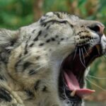 New York Central Park Zoo Ticket - Final Thoughts