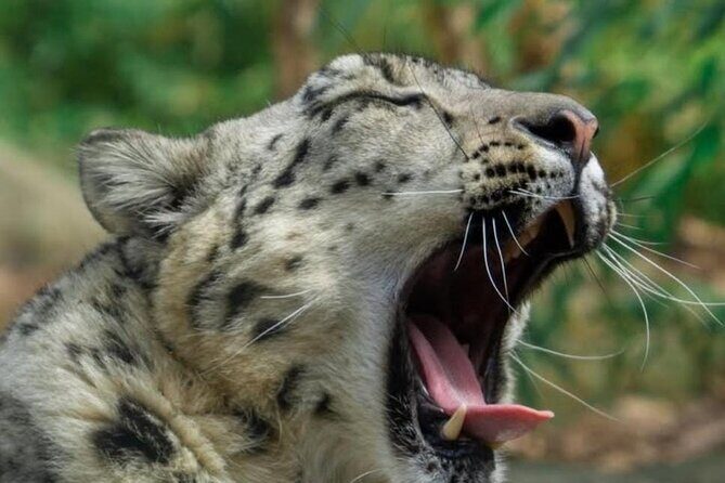 New York Central Park Zoo Ticket - Final Thoughts