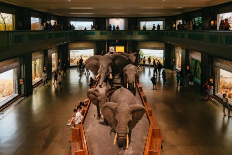 New York City: American Museum of Natural History Ticket - Practical Tips for Visiting
