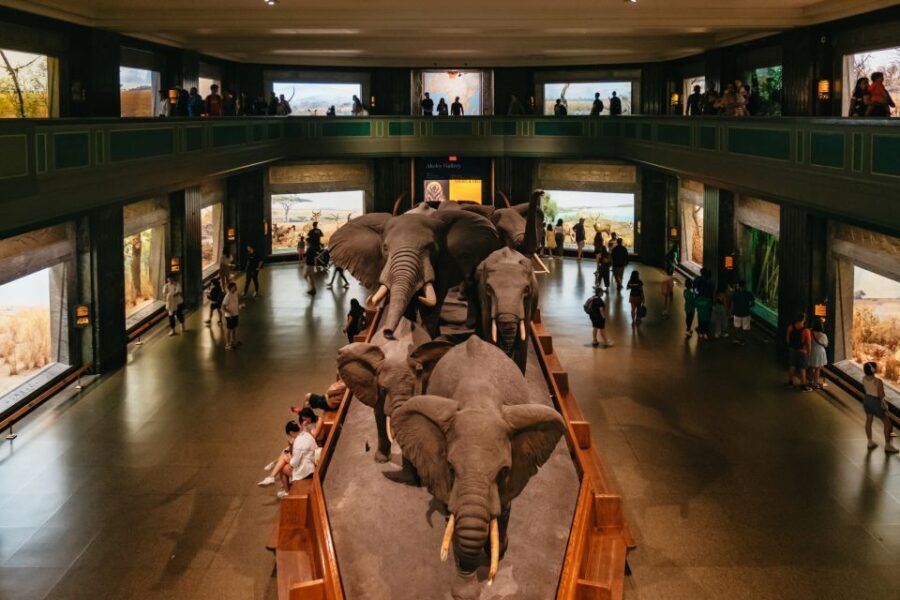 New York City: American Museum of Natural History Ticket - Practical Tips for Visiting
