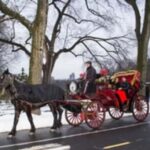 New York City: Central Park Horse Carriage 45-min Ride - The Authentic Voice of Past Travelers
