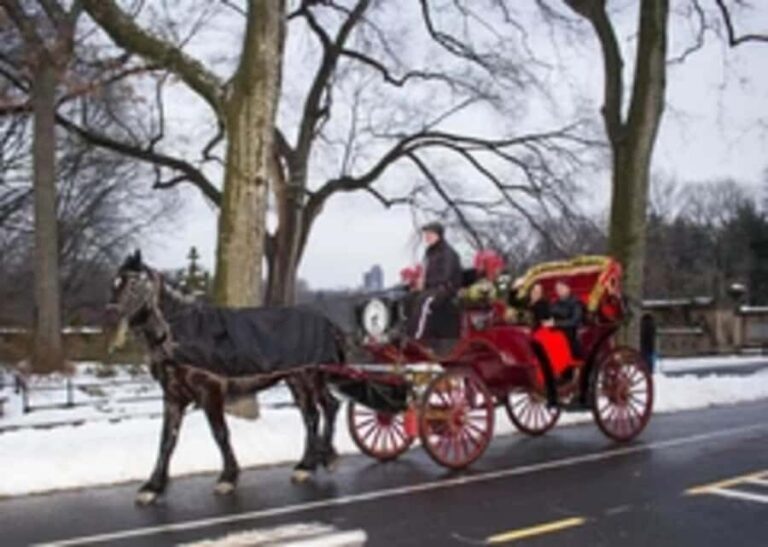 New York City: Central Park Horse Carriage 45-min Ride - The Authentic Voice of Past Travelers