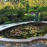 New York City Central Park Walking Tour with a Guide - What to Expect from the Central Park Walking Tour