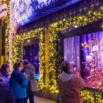 New York City: Holiday Lights Extravaganza Walking Tour - Who Will Love This Tour?