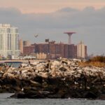 New York City Sightseeing and Seals Boat Tour - Final Thoughts