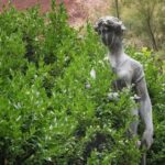 New York City: The Garden Photo Tour - Discovering the Garden: A Step Back in Time