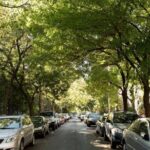 New York Street Food Guided Walking Tour with a Guide - Practical Details and What They Mean for You