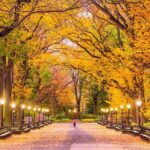 New Yorks Iconic Central Park: A Self-Guided Audio Tour - Who Should Consider This Tour?