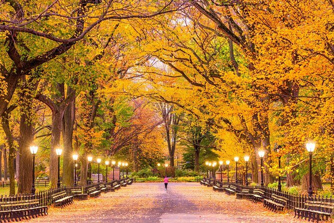 New Yorks Iconic Central Park: A Self-Guided Audio Tour - Who Should Consider This Tour?