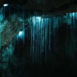 New Zealand: Milky Way Glowworm Cave Tour - What You Can Expect on the Tour