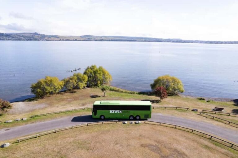 New Zealand: National Hop-On Hop-Off Pass - What to Expect from the Experience