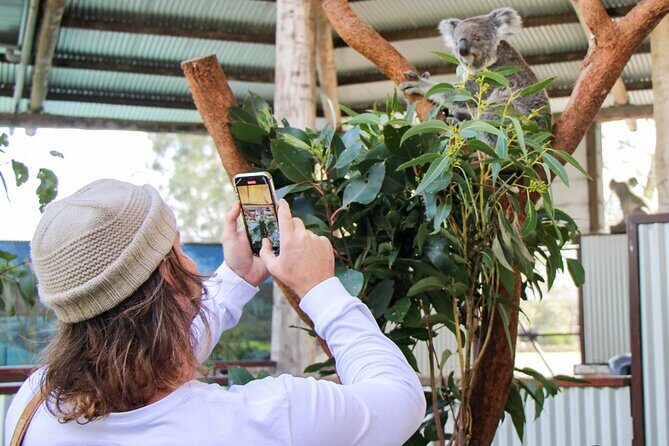 Newcastle: Animal Lovers Tour - Kangaroos, Dolphins & more! - Why You Might Love This Tour